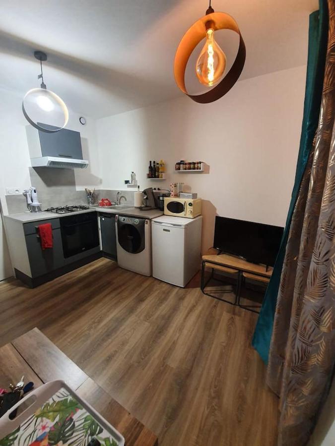 Charmant Petit F1 Apartment Tain-l'Hermitage Exterior photo